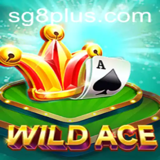 WildAce: A Thrilling Adventure With New Dimensions | SG 8 Insight